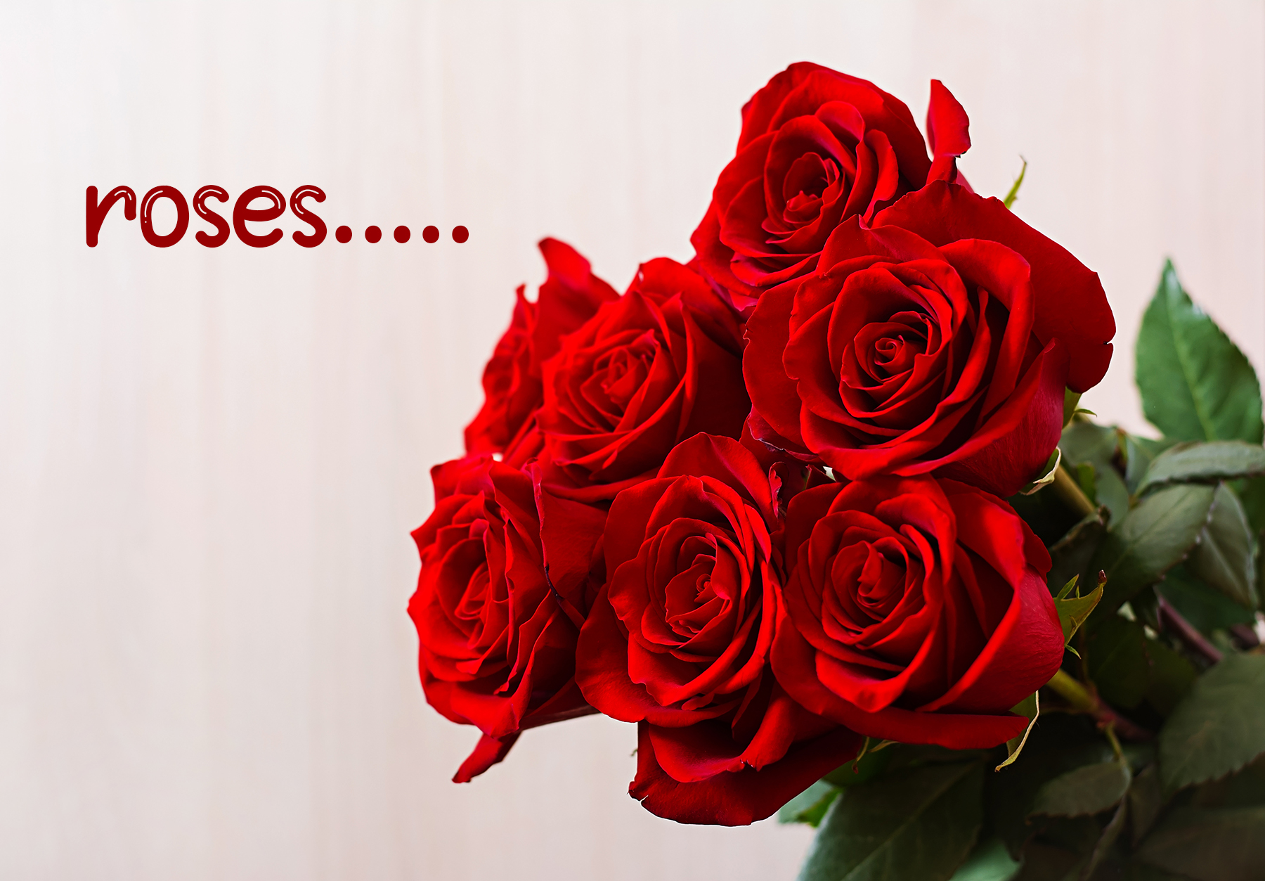 offer banner