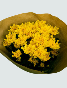 Chrysanthemum Bouquet – yellow color