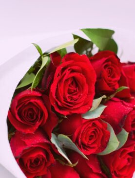 Sheaf of Roses