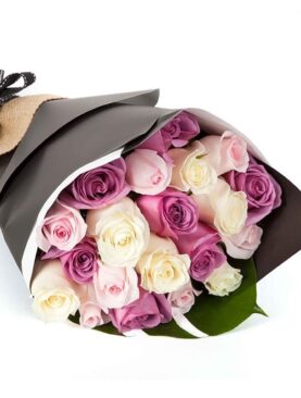 Roses - Pretty Pastel (20) Special