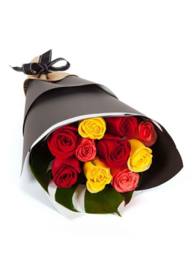 Roses - Autumn Beauty
